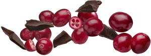 Cranberriesand Chocolate Pieces PNG