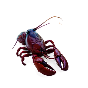 Crawfish Illustration Png 06122024 PNG Image