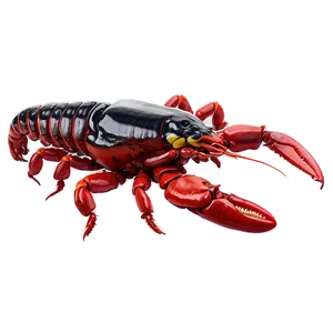 Crawfish Seafood Gourmet Png Axk PNG Image