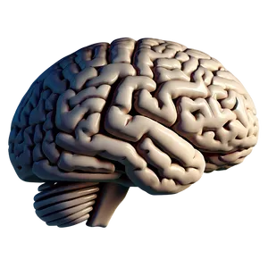 Creative Brain Outline Png 33 PNG Image