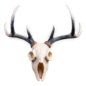 Creative Deer Antler Shape Png Qrq PNG Image