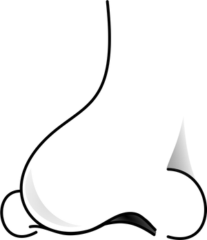 Crescent Moon Illusion Nose Profile PNG Image