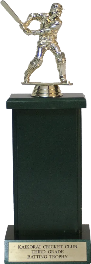 Cricket Batting Trophy Award PNG Image