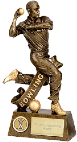 Cricket Bowling Trophy PNG Image