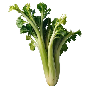 Crisp Celery Bunch Png Cul70 PNG Image