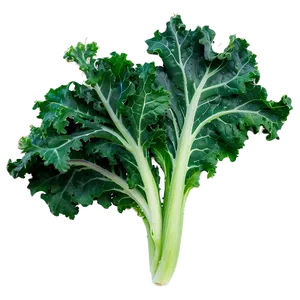 Crispy Kale Png 06252024 PNG Image