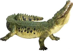 Crocodileon Teal Background.png PNG Image