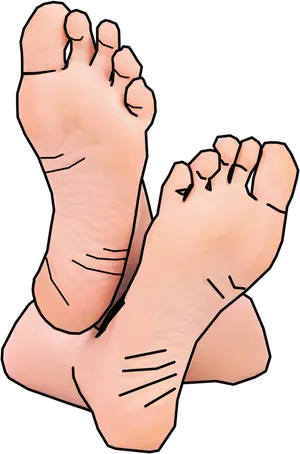 Crossed Bare Feet Illustration PNG Image