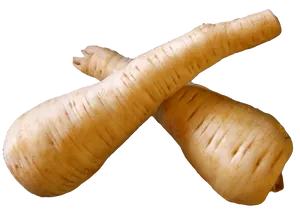 Crossed Parsnips Isolated PNG Image