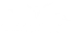 Crossroads Hospice Palliative Care Logo PNG Image