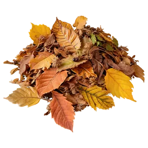 Crunchy Leaves Heap Png Evs30 PNG Image