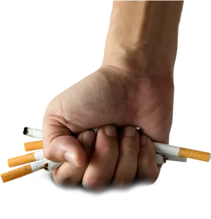 Crushed Cigarettesin Hand PNG Image