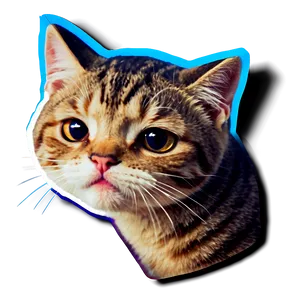 Crying Cat Sticker Design Png 59 PNG Image