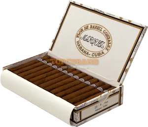 Cuban Cigar Box Open PNG Image