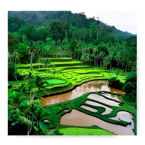 Cultural Landscapes PNG Orm