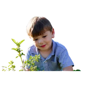 Curious Son Exploring Nature Png Llq77 PNG Image