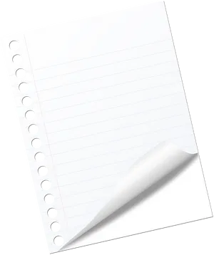 Curled Note Paper Graphic PNG Image