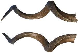 Curved Animal Horns PNG Image