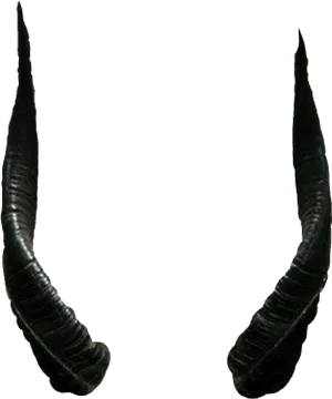 Curved Black Horns PNG Image