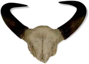 Curved Goat Horns PNG Image