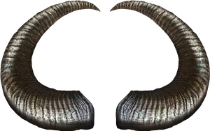 Curved Ram Horns Black Background PNG Image