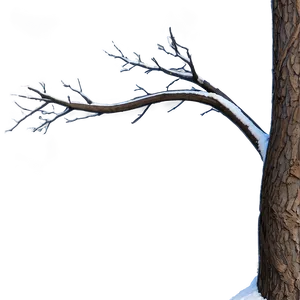 Curved Tree Branches Png 06282024 PNG Image