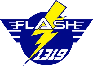 Custom Flash Logo1319 PNG Image