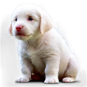 Cute Animal Profile Picture Png Kuc7 PNG Image