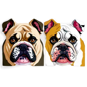 Cute Bulldog Faces Close-up Png 38 PNG Image