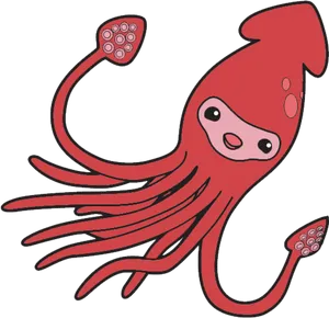 Cute Cartoon Squid PNG Image