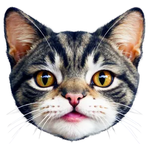 Cute Cat Face Clipart Png Cke PNG Image