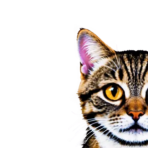 Cute Cat Face Clipart Png Jyt PNG Image