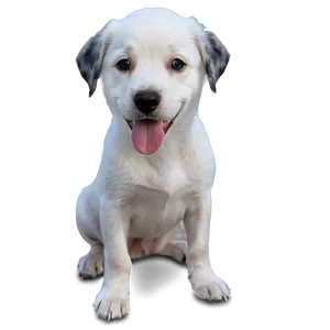 Cute Dog Transparent Png 59 PNG Image