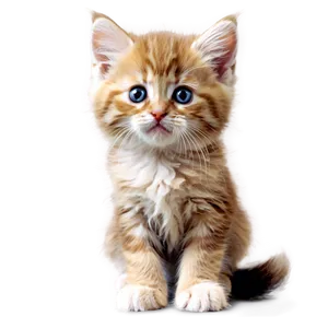 Cute Fluffy Kitten Png Eab PNG Image