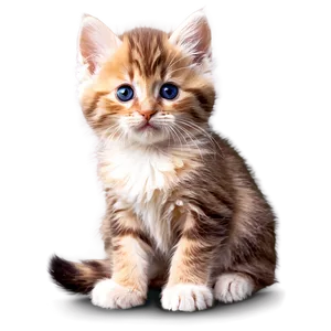 Cute Fluffy Kitten Png Swk PNG Image