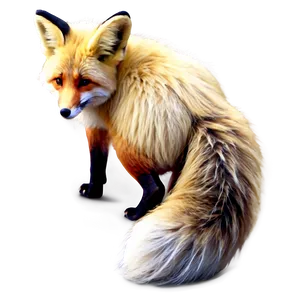 Cute Fox Tail Picture Png Kek63 PNG Image