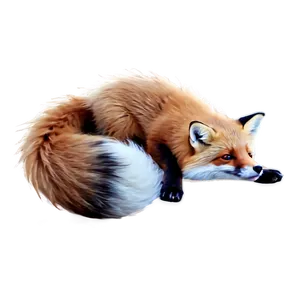 Cute Fox Tail Picture Png Sss PNG Image