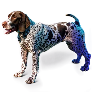 Cute German Shorthaired Pointer Dog Png 64 PNG Image