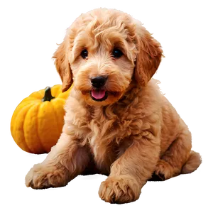 Cute Goldendoodle Dog Png 06262024 PNG Image