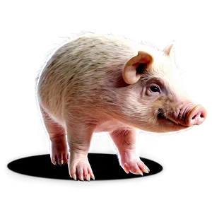 Cute Hog Cartoon Png 06252024 PNG Image