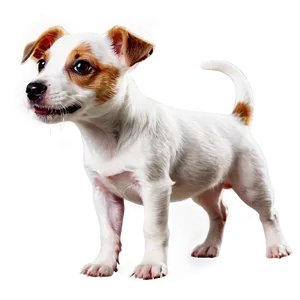 Cute Jack Russell Puppy Png Twn PNG Image