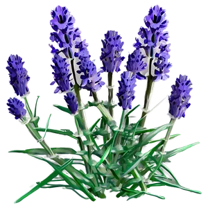 Cute Lavender Flowers Png Njv73 PNG Image