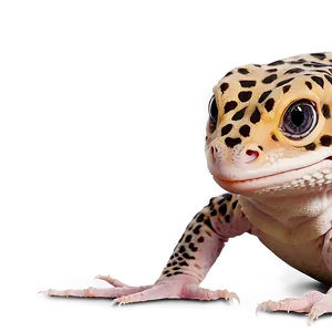 Cute Leopard Gecko Png 12 PNG Image