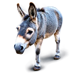 Cute Mule Clipart Png Kmy PNG Image