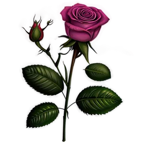 Cute Rose Flowers Png Fof PNG Image