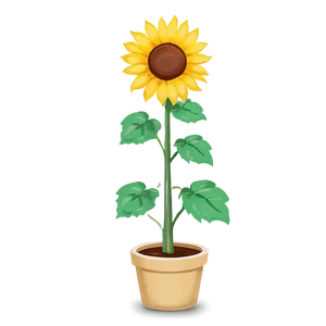 Cute Sunflower Png Bgs PNG Image