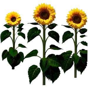 Cute Sunflower Png Cvx31 PNG Image