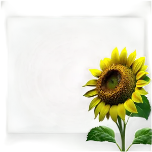 Cute Sunflower Png Grj7 PNG Image