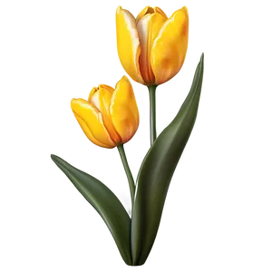 Cute Tulip Flowers Png Rqd PNG Image