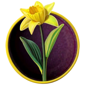 Daffodil Yellow Circle Idea Png 47 PNG Image